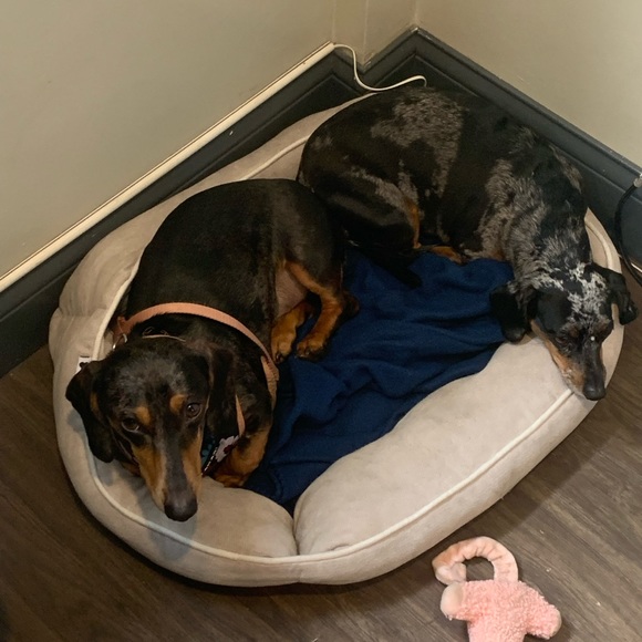 🚨🚨🚨LIVE SHOW ALERT 🚨🚨🚨 LIKE 👍🏻 THIS LISTING ✅. ⏰⏰⏰ - Picture 9 of 16